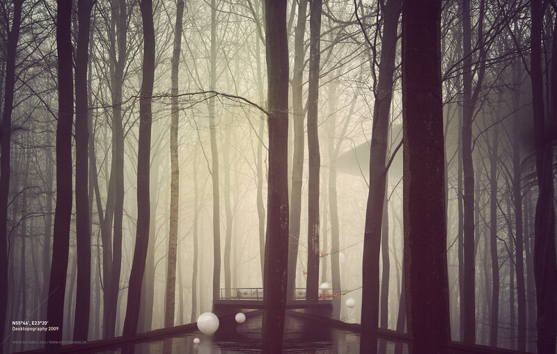 Misty forest with glowing orbs
