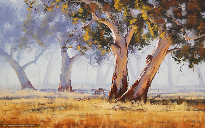 Misty forest with kangaroo