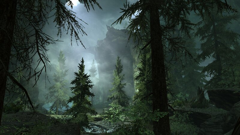 Misty Forest with Pine Trees — Green