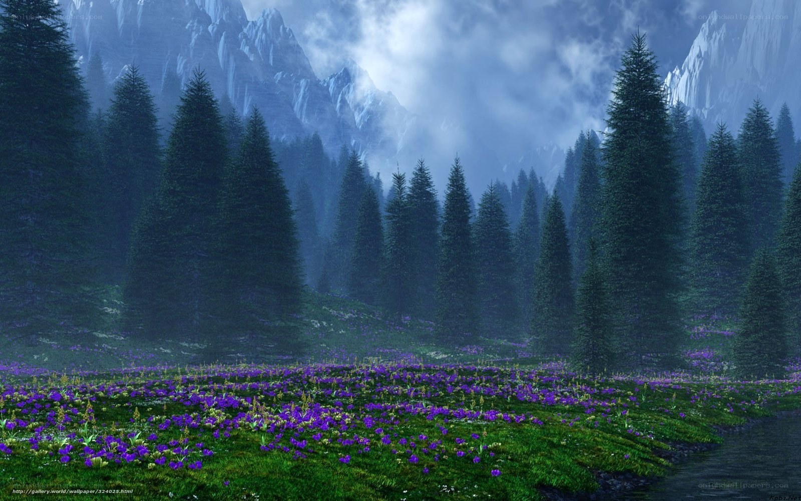 Misty forest with purple flowers
