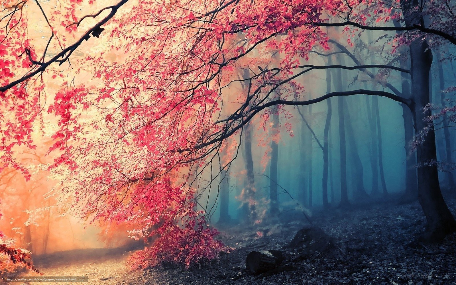 Misty forest with red leaves