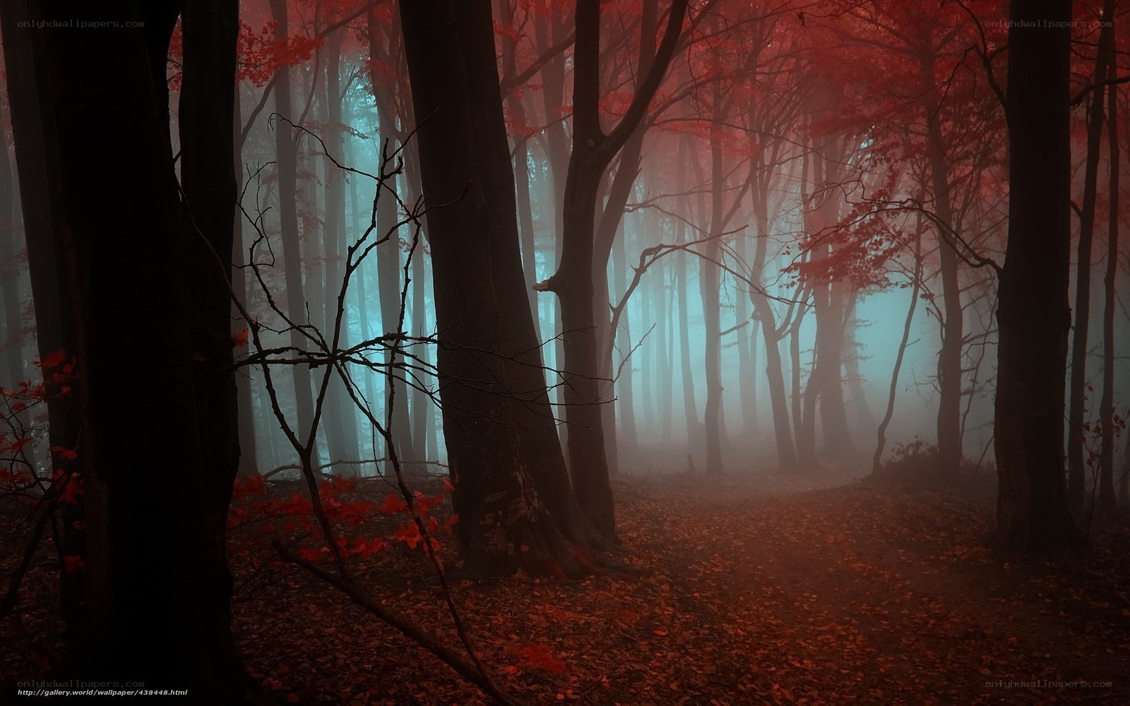 Misty forest with red leaves