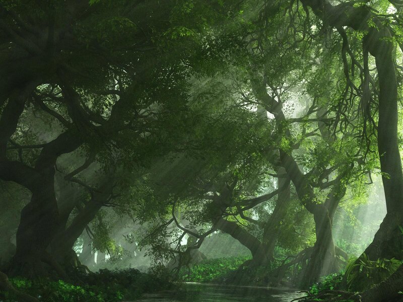 Misty forest with river