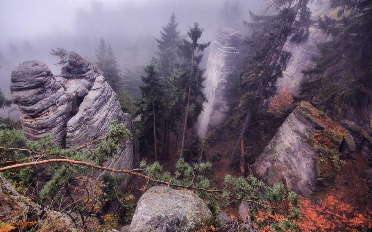 Misty forest with rock formations