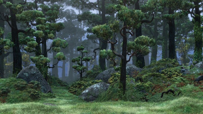 Misty Forest with Rocks