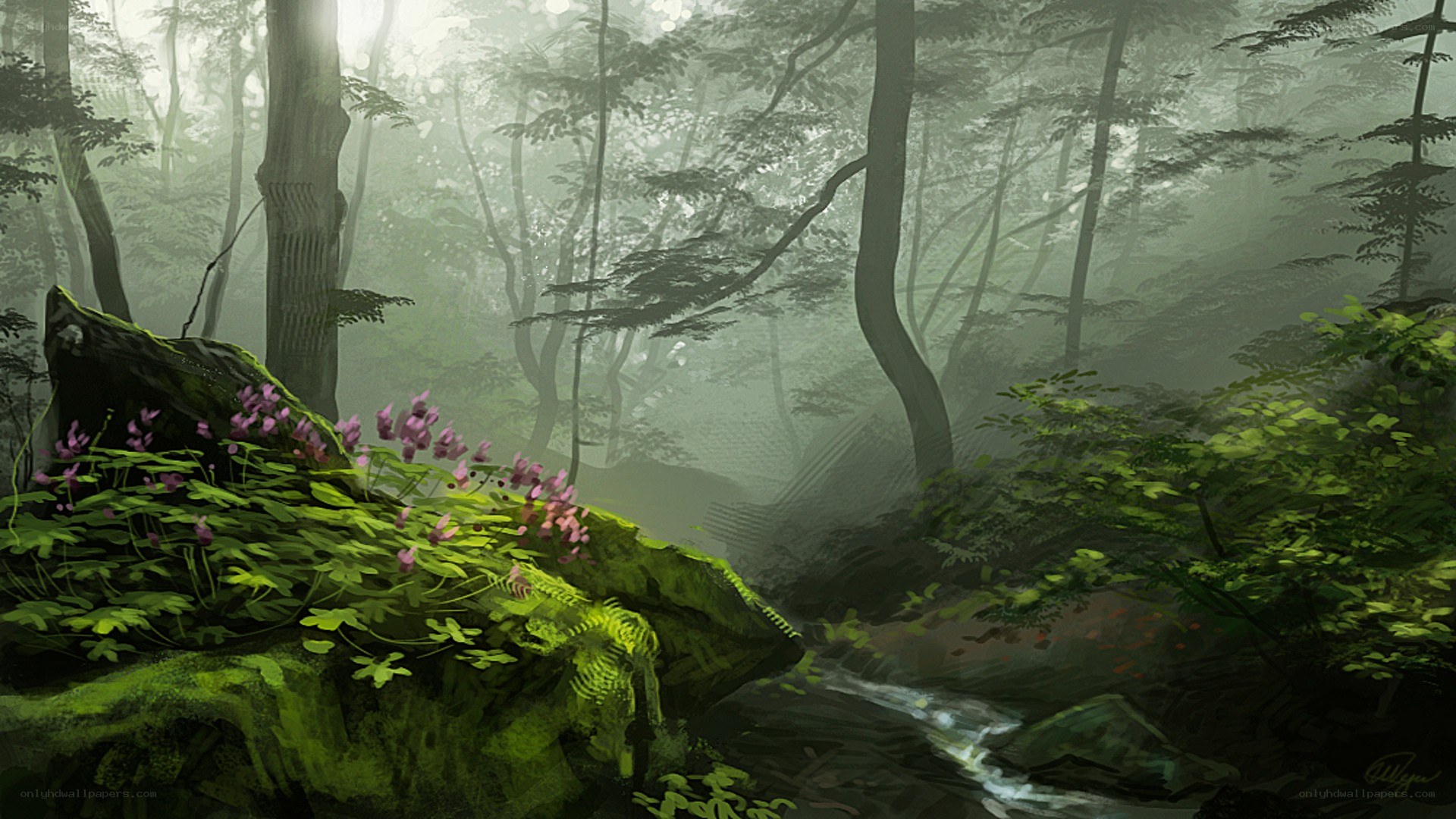 Misty forest with stream