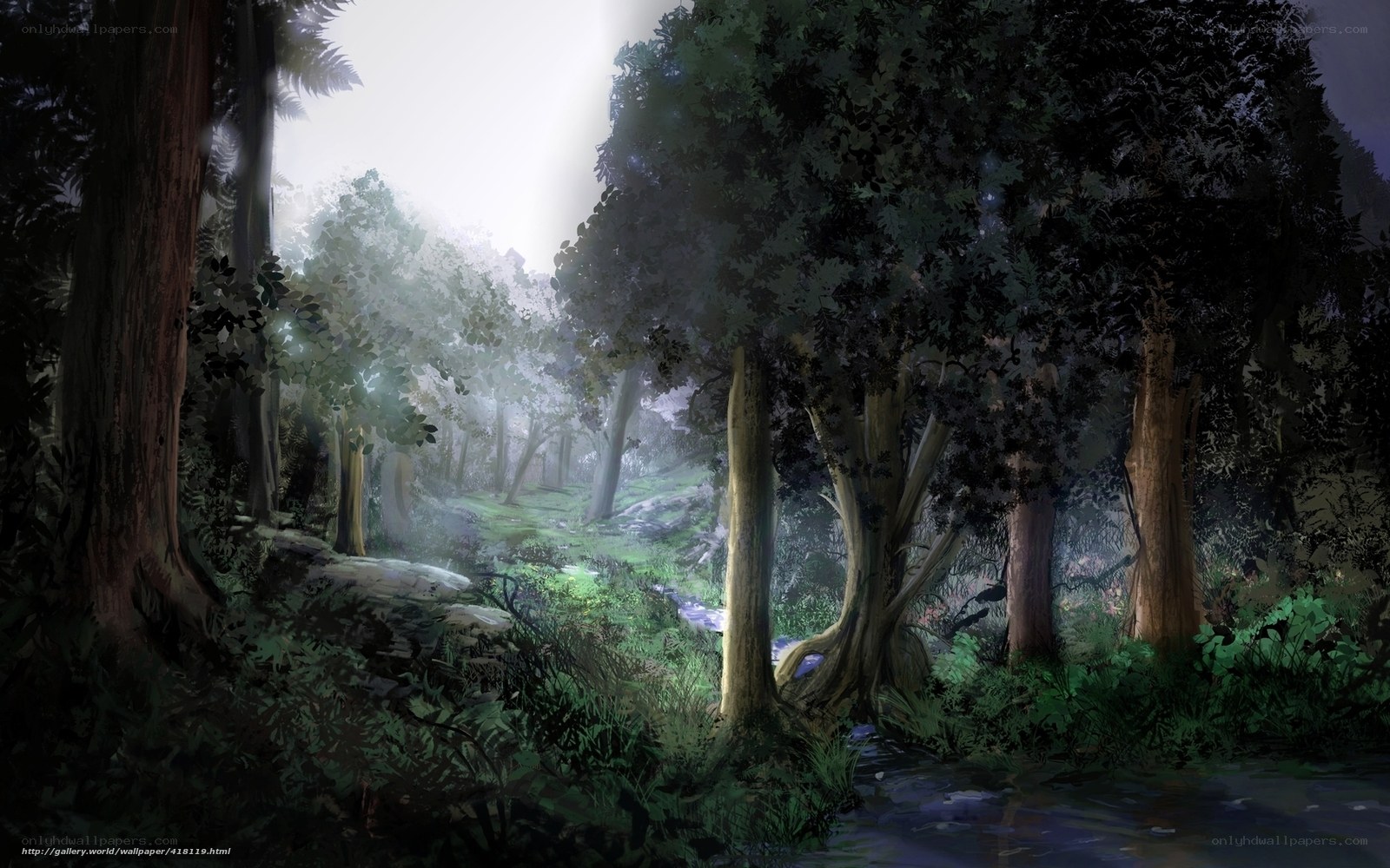 Misty forest with stream
