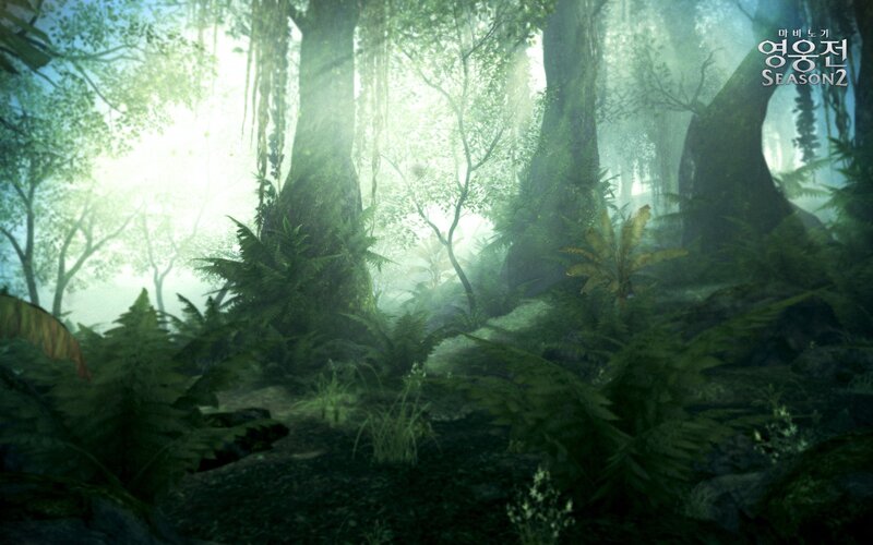 Misty forest with sunlight