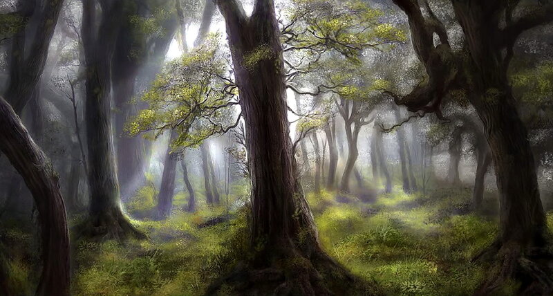 Misty Forest with Tall Trees — Green