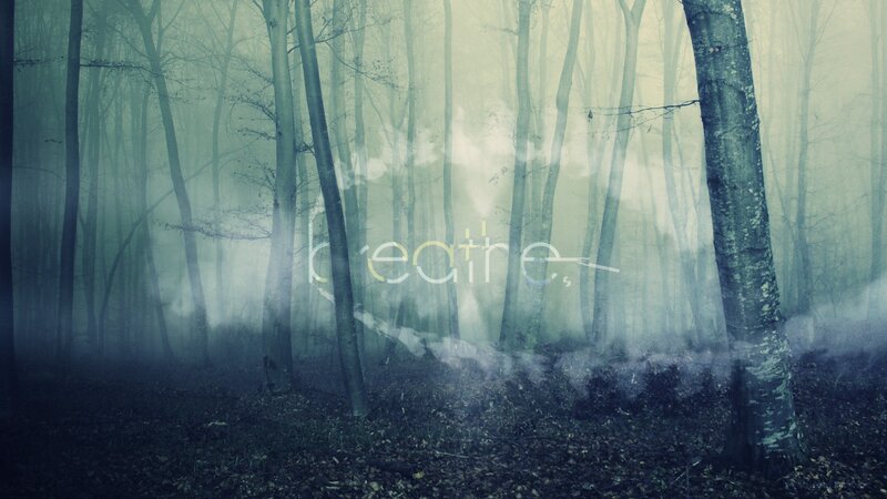 Misty forest with text overlay