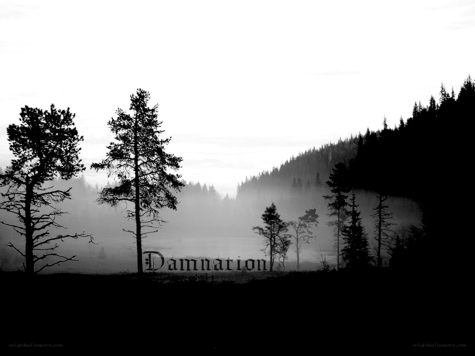 Misty forest with text overlay
