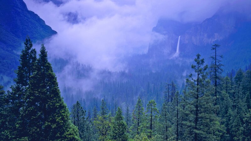 Misty forest with waterfall