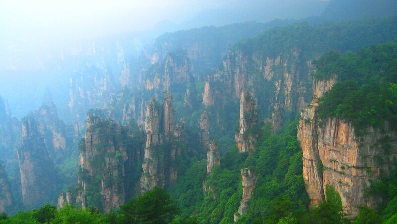 misty forested cliffs
