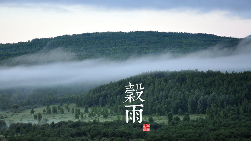Misty Forested Hills — Green