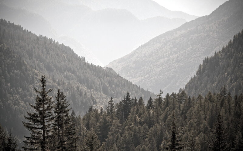 Misty forested mountain valley
