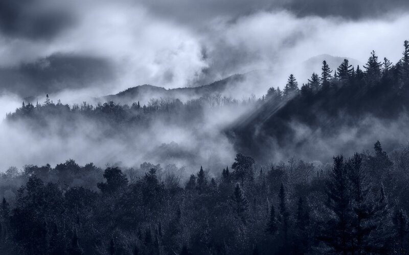 Misty Forested Mountains — Gray