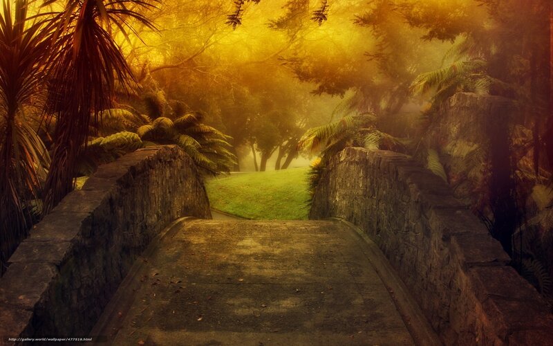Misty garden path at sunset
