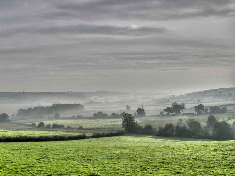 Misty Green Fields