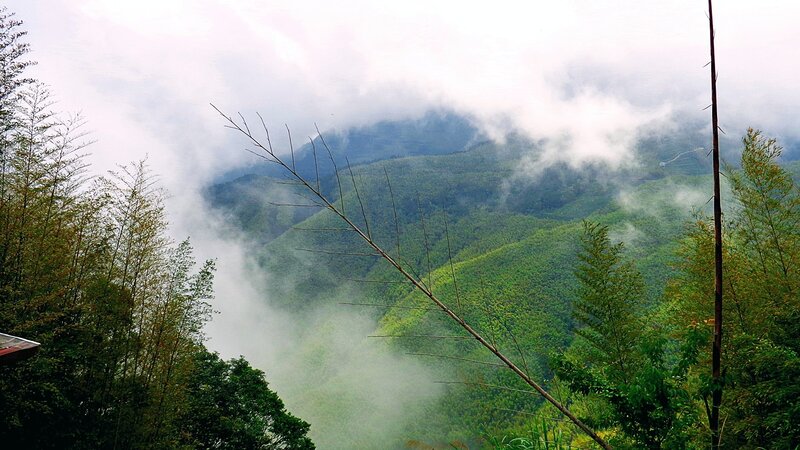 Misty Green Mountains — Serene