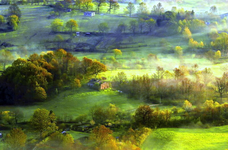 Misty Green Valley