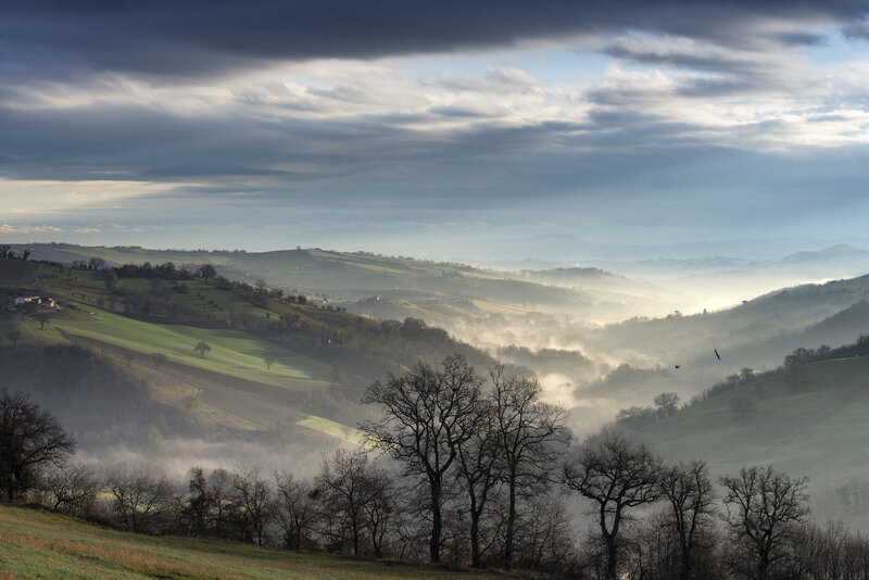 Misty hills at dawn