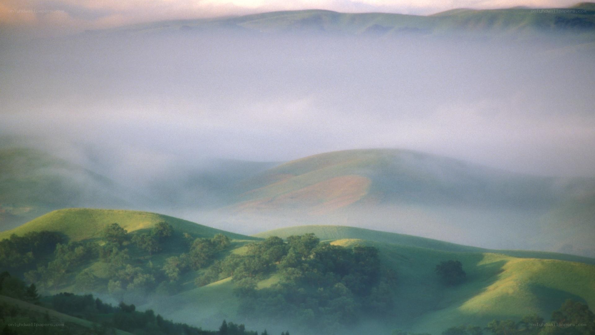Misty hills at dawn