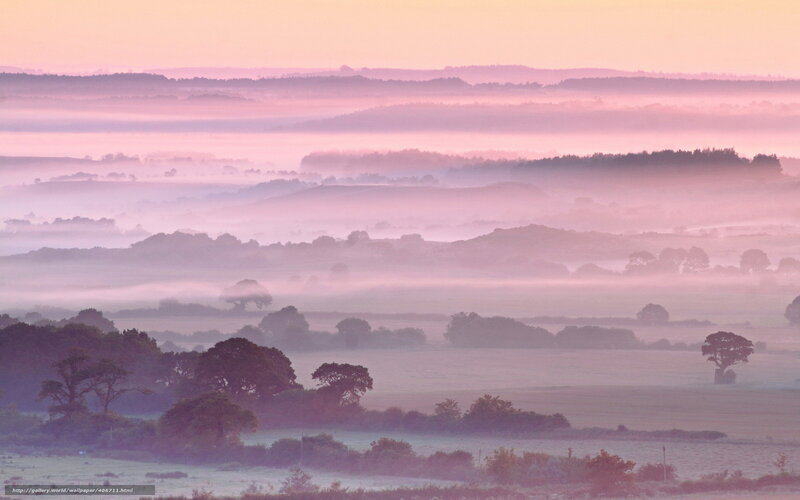 Misty Hills at Dawn — Pink, Serene
