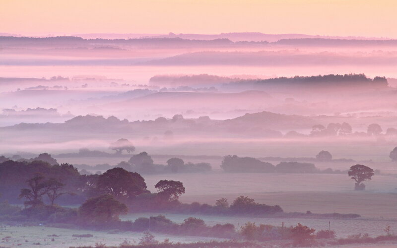 Misty Hills at Dawn — Pink
