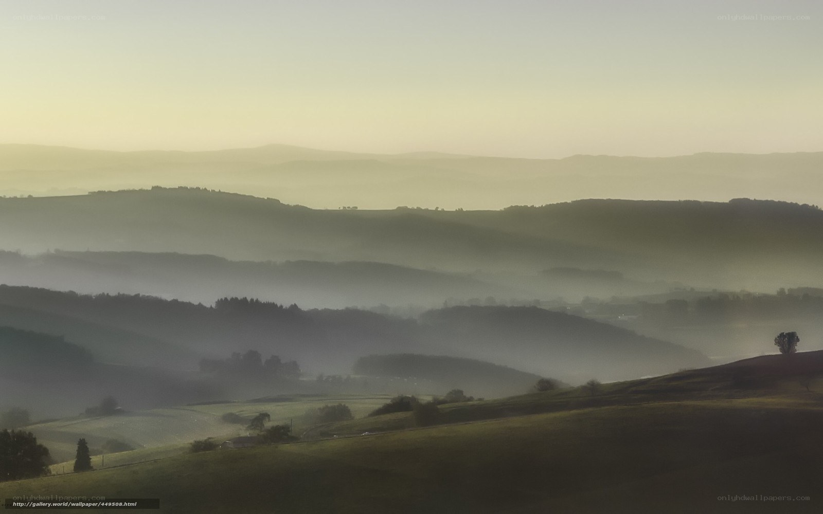 Misty Hills at Dawn
