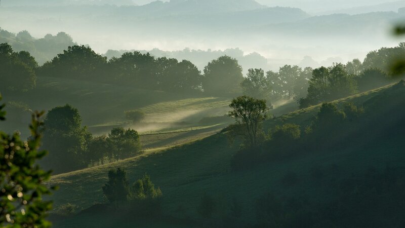 Misty Hills at Sunrise — Green, Serene, Morning, Photograph