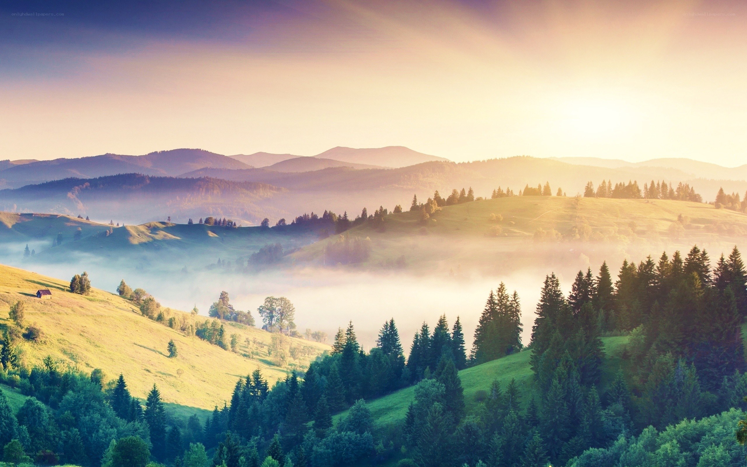 Misty hills at sunrise