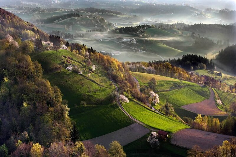 Misty hills in spring