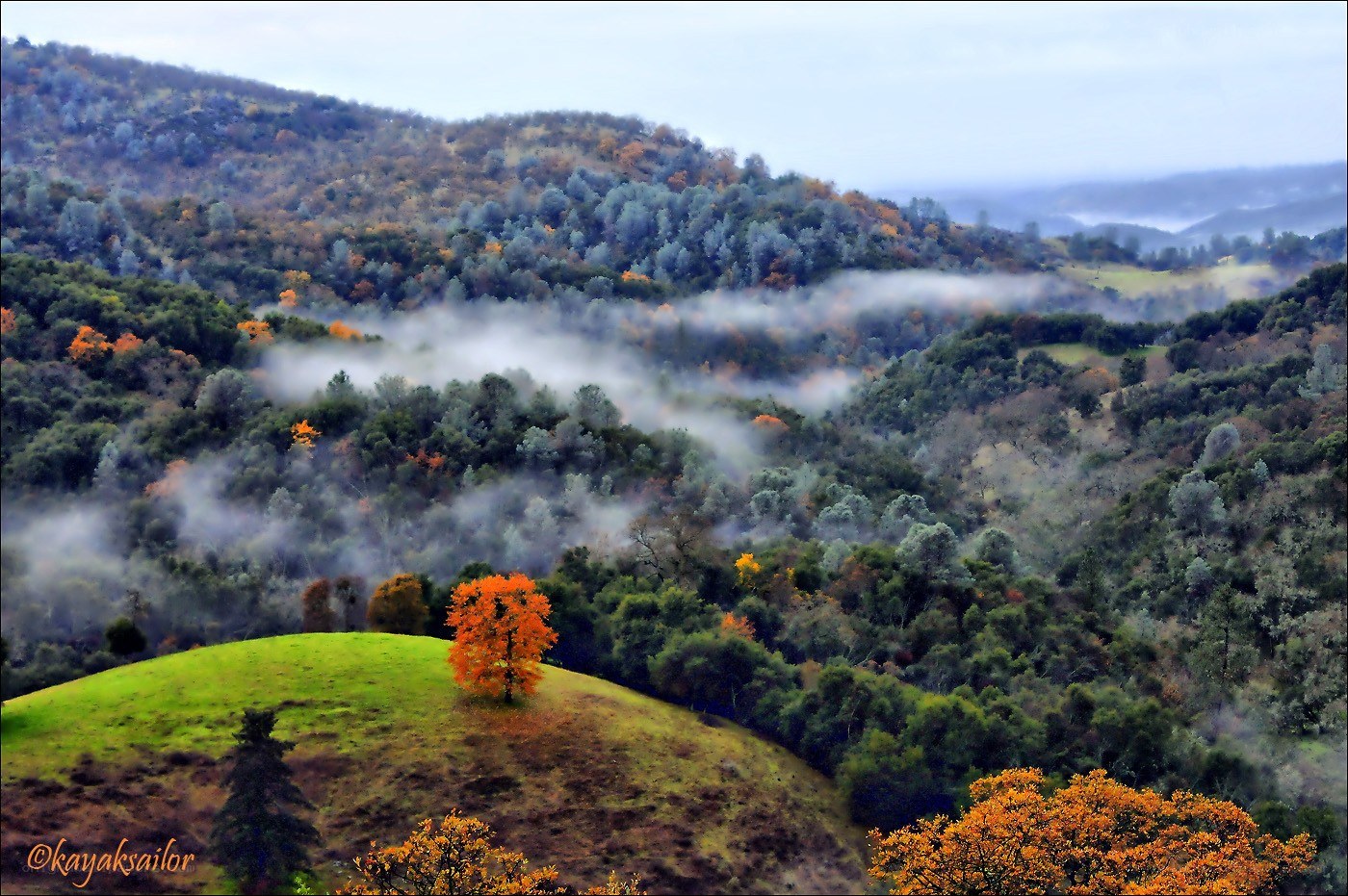 Misty hills with autumn trees