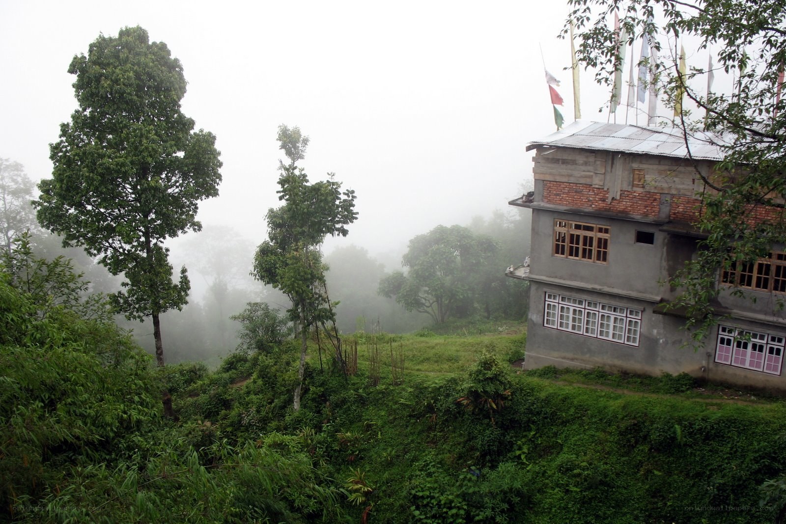 Misty hillside house with prayer flags