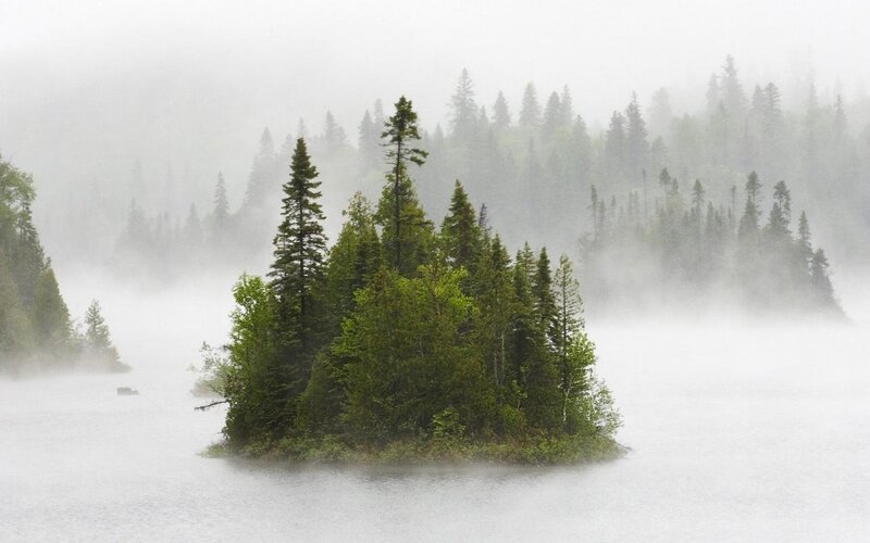 Misty island in a forest lake