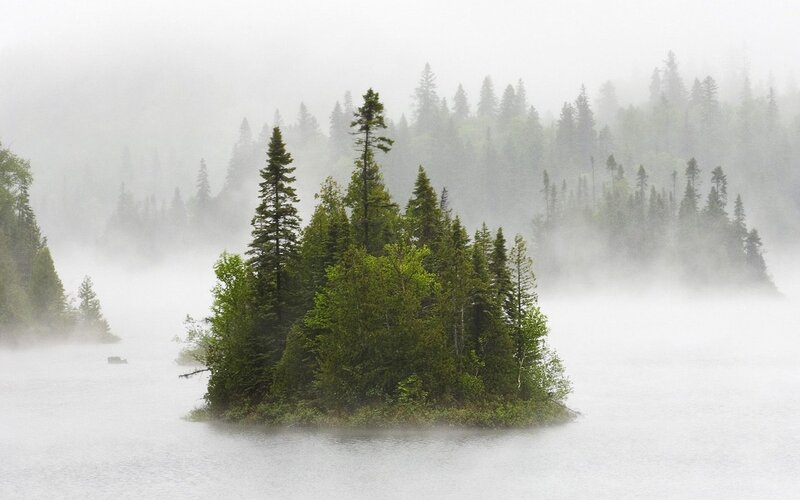 Misty island in a forest lake