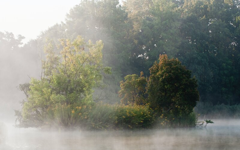 Misty Island in Lake