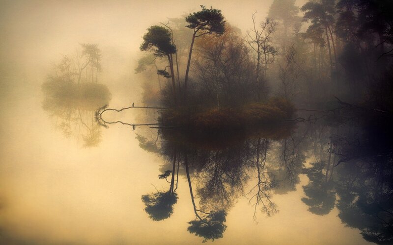 Misty Island with Trees — Brown