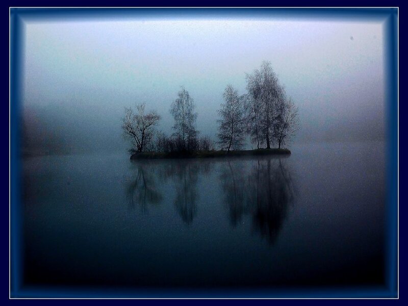 Misty island with trees