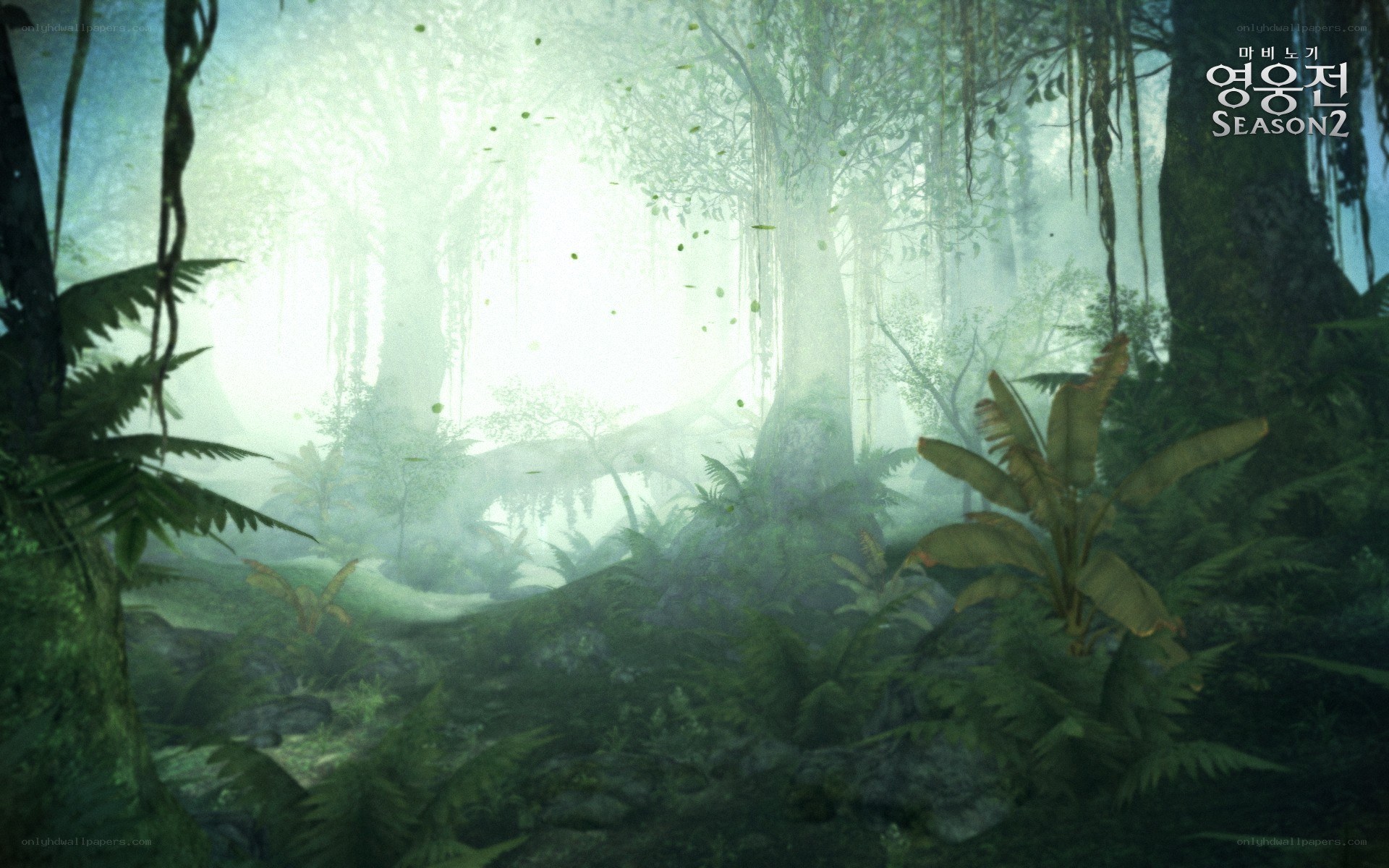 Misty jungle forest scene