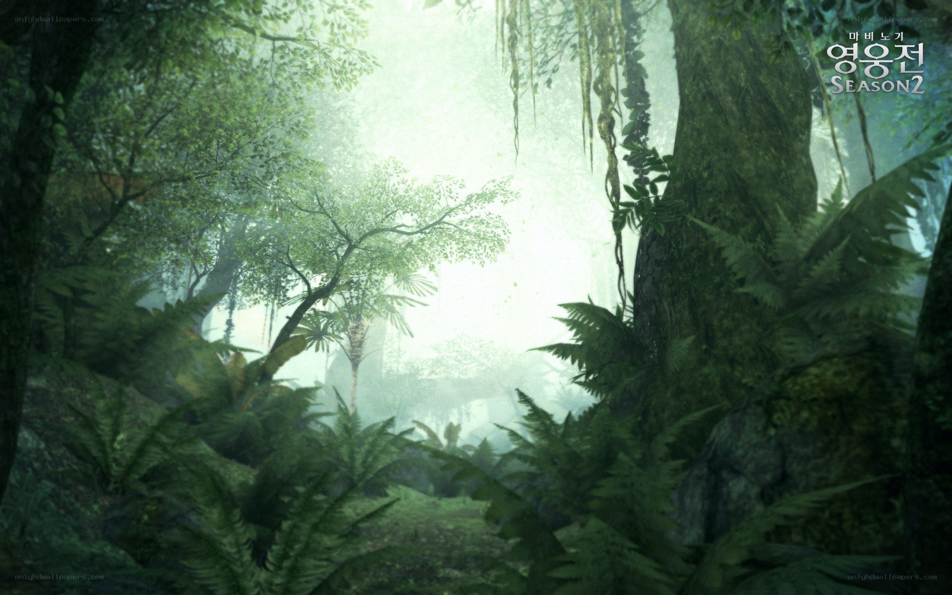 Misty jungle forest scene