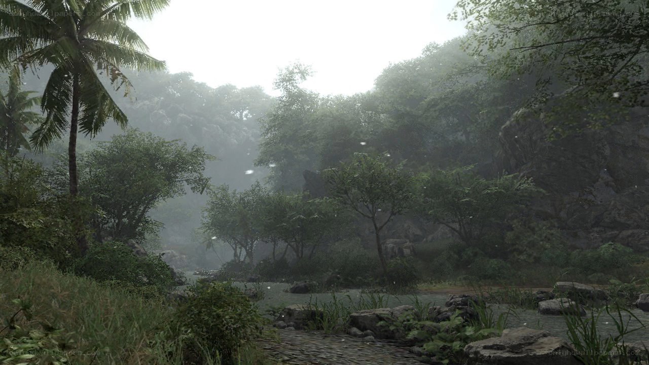 misty jungle river scene