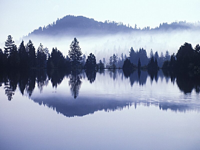 Misty Lake and Forest — Blue, Serene, Morning, Photograph, Mountain