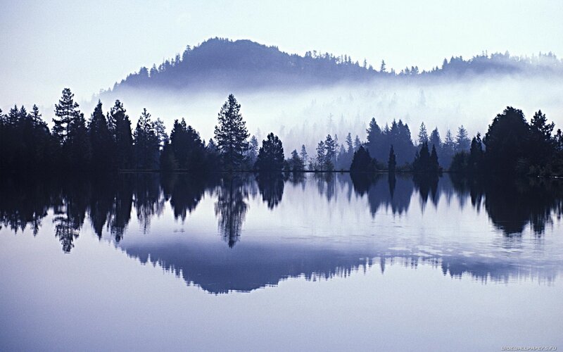 Misty Lake and Forest — Blue, Serene, Morning, Photograph, Trees, Mountain