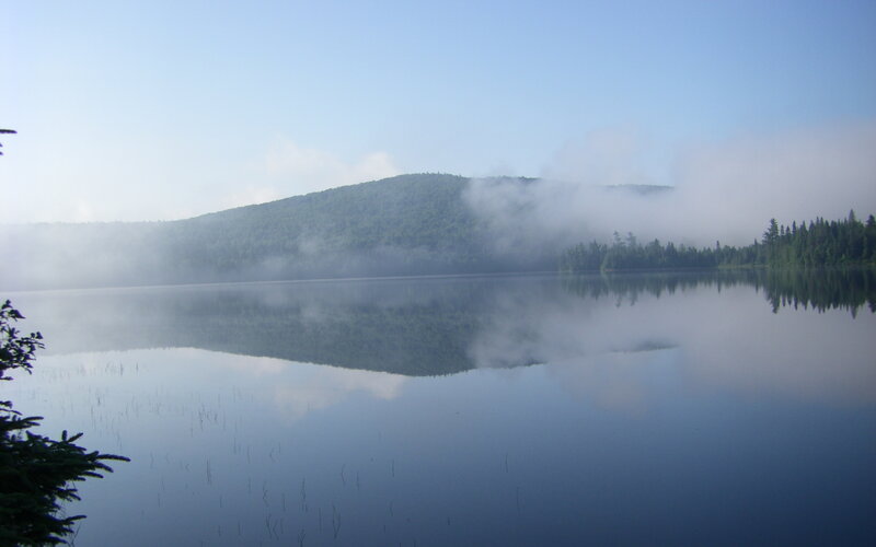 Misty Lake and Forest — Blue, Serene