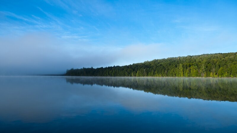 Misty Lake and Forest — Blue