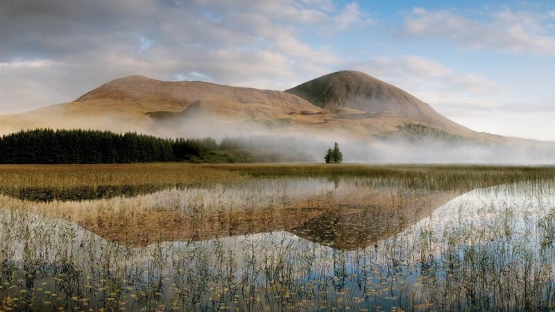 Misty Lake and Mountains — Blue, Serene, Morning, Photograph, Forest