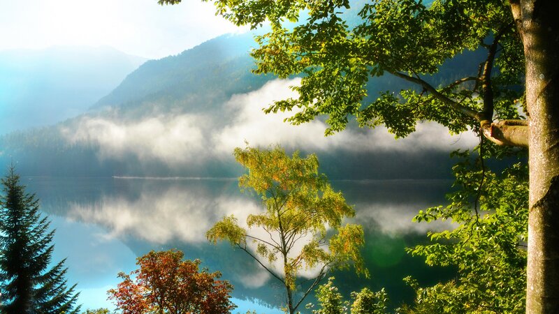 Misty Lake and Mountains — Green, Serene, Morning, Photograph