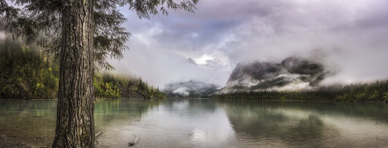 Misty Lake and Mountains — Green, Serene, Morning, Photograph, Tree