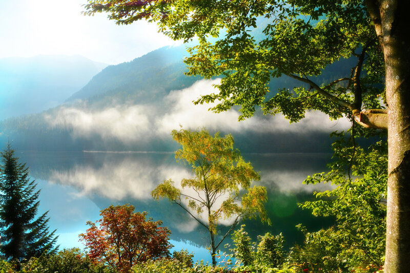 Misty Lake and Mountains — Green, Serene